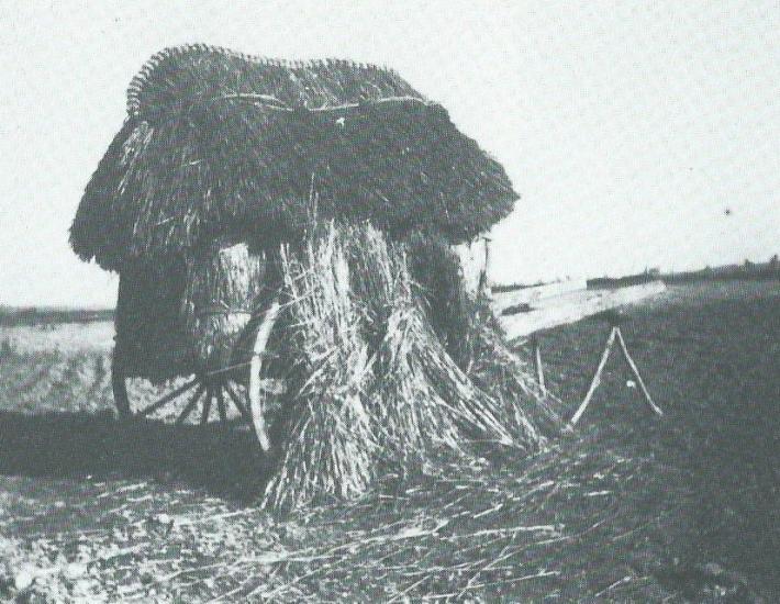 cabane-de-berger-charette-abri.jpg