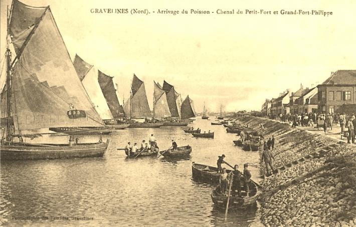 grand-fort-philippe-arrivage-du-poisson.jpg