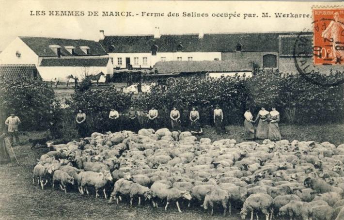 hemmes-de-marck-les-moutons.jpg