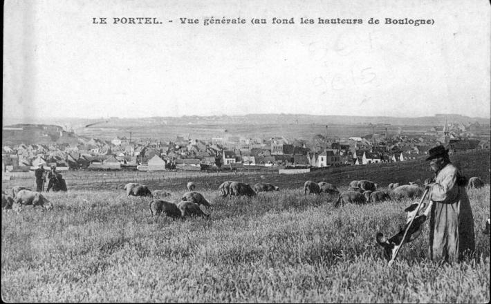 le-portel-vue-generale-herve-tavernier-calais-berger-et-ses-moutons.jpg