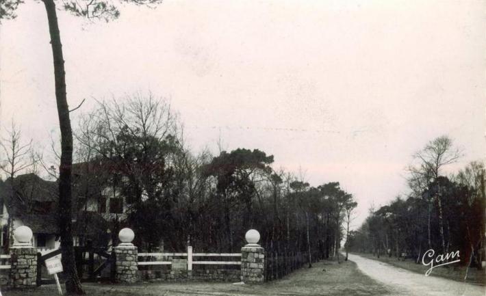 stella-plage-le-bois-lurette-en-foret.jpg