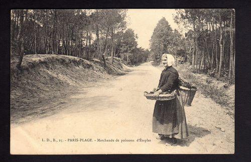Etaples-marchande-de-poisson-herve-tavernier-calais.jpg