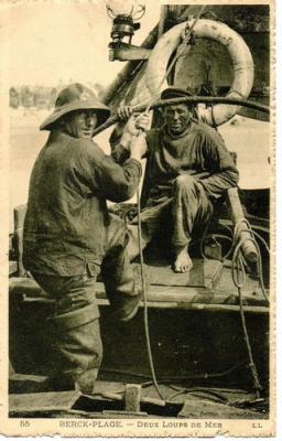 loups-de-mer-herve-tavernier-calais.jpg